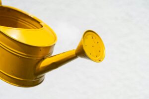 水差し