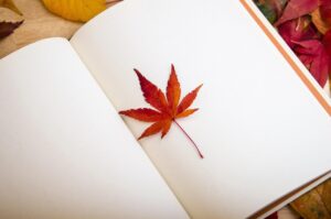 白紙と紅葉