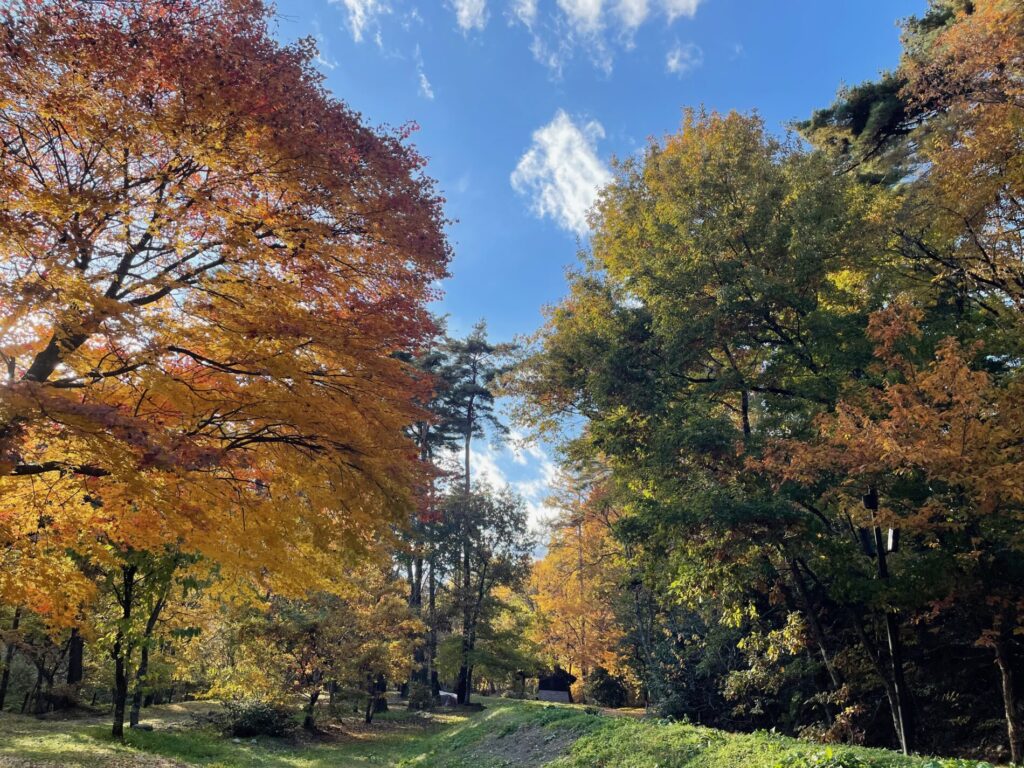 国営アルプスあづみの公園